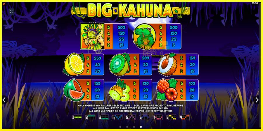 Big Kahuna מכונת משחק לכסף, תְמוּנָה 7