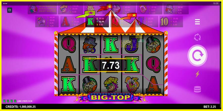 Big Top מכונת משחק לכסף, תְמוּנָה 5