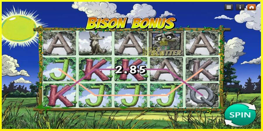 Bison Bonus מכונת משחק לכסף, תְמוּנָה 2