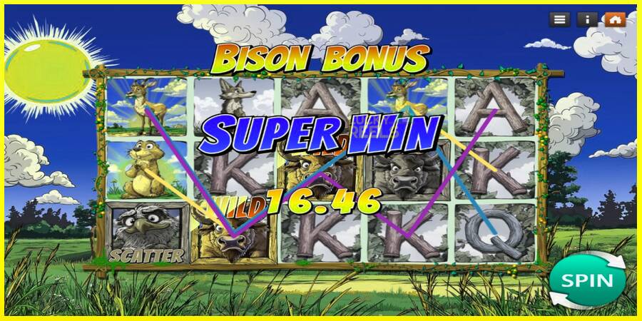 Bison Bonus מכונת משחק לכסף, תְמוּנָה 3