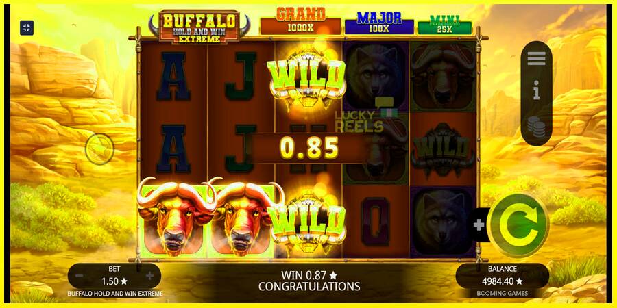 Buffalo Hold and Win Extreme מכונת משחק לכסף, תְמוּנָה 6