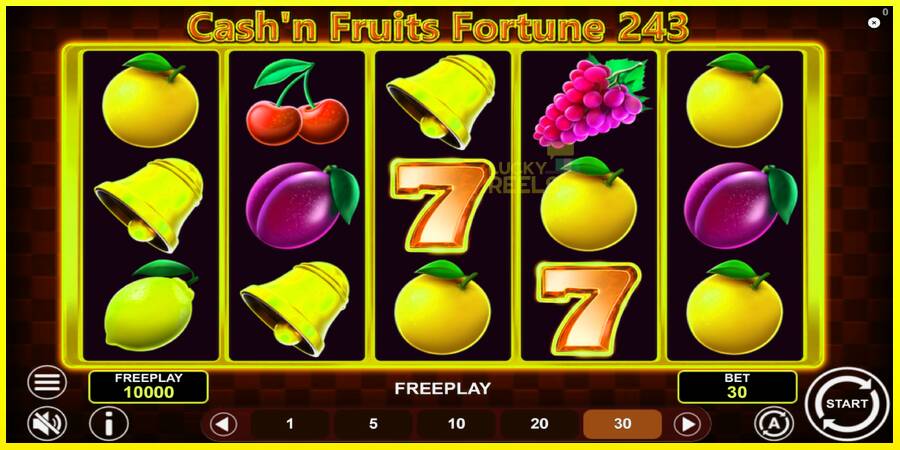 Cashn Fruits Fortune 243 מכונת משחק לכסף, תְמוּנָה 2