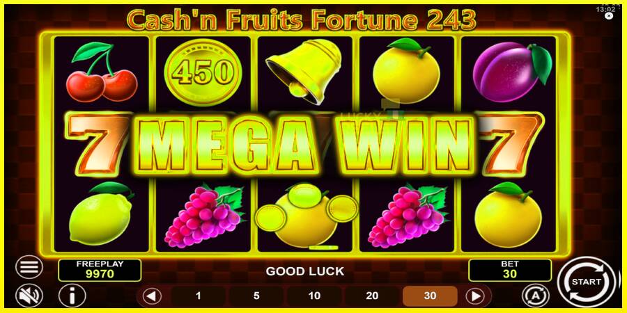 Cashn Fruits Fortune 243 מכונת משחק לכסף, תְמוּנָה 3