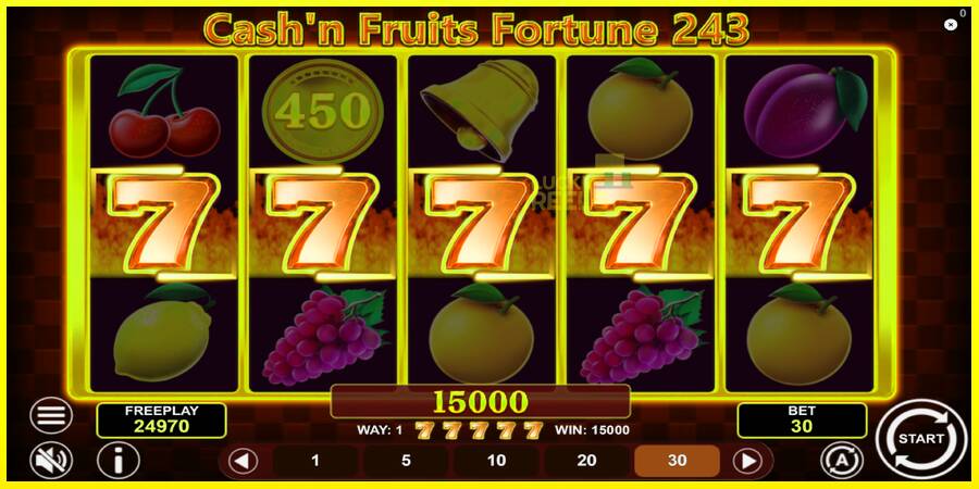 Cashn Fruits Fortune 243 מכונת משחק לכסף, תְמוּנָה 4