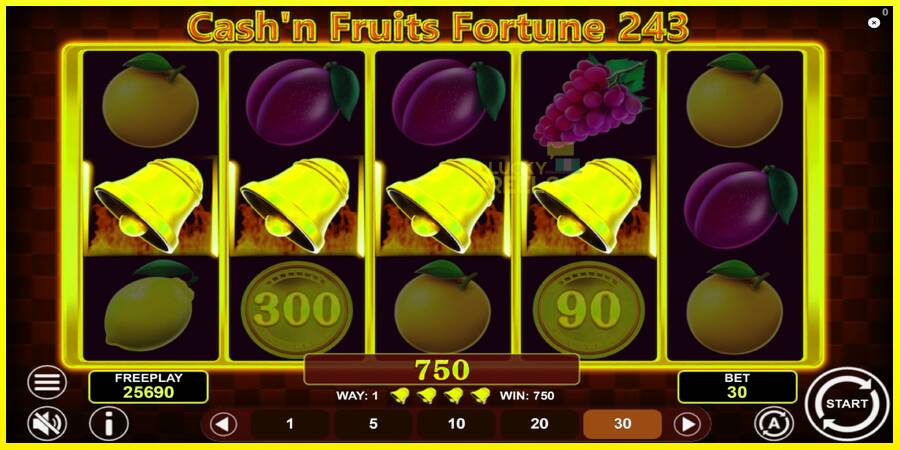 Cashn Fruits Fortune 243 מכונת משחק לכסף, תְמוּנָה 5