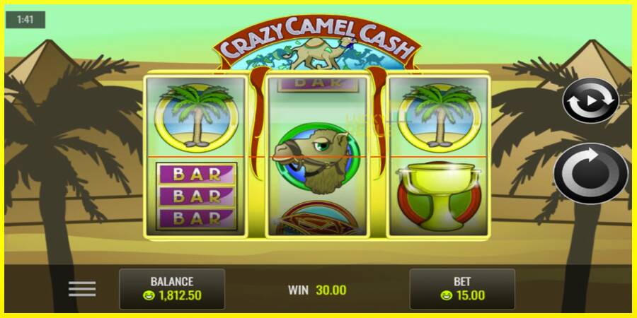 Crazy Camel Cash מכונת משחק לכסף, תְמוּנָה 3