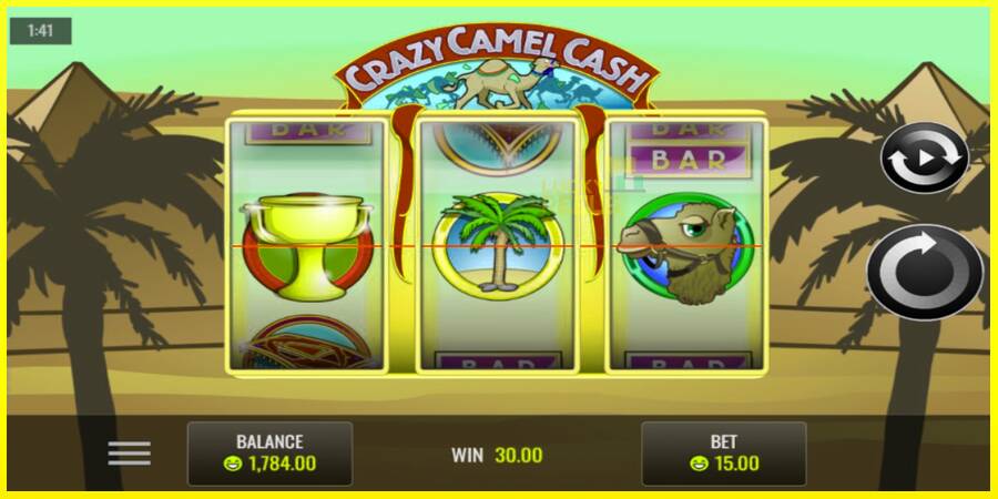 Crazy Camel Cash מכונת משחק לכסף, תְמוּנָה 4