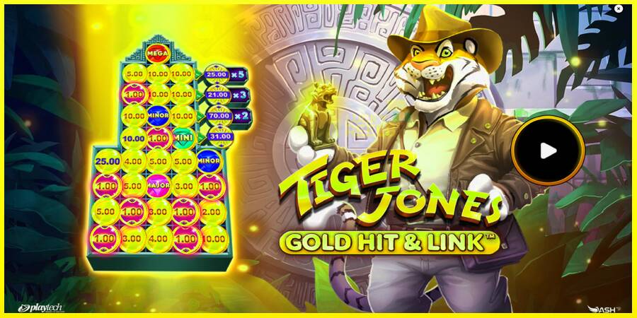 Gold Hit & Link: Tiger Jones מכונת משחק לכסף, תְמוּנָה 1