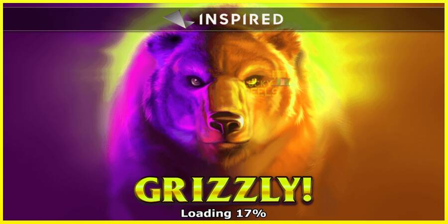 Grizzly מכונת משחק לכסף, תְמוּנָה 1