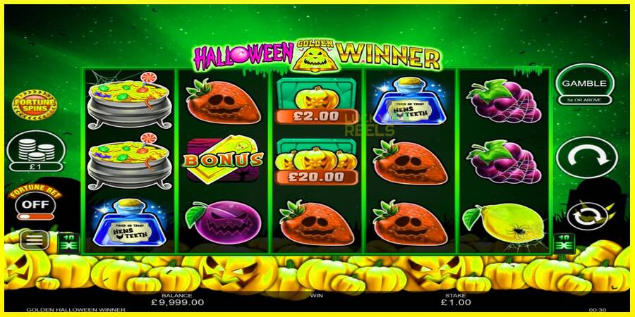 Halloween Golden Winner מכונת משחק לכסף, תְמוּנָה 2