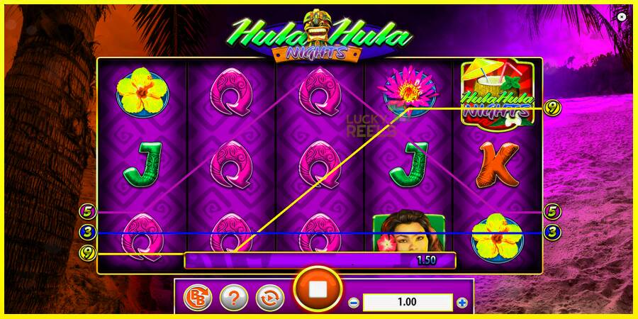 Hula Hula Nights מכונת משחק לכסף, תְמוּנָה 5