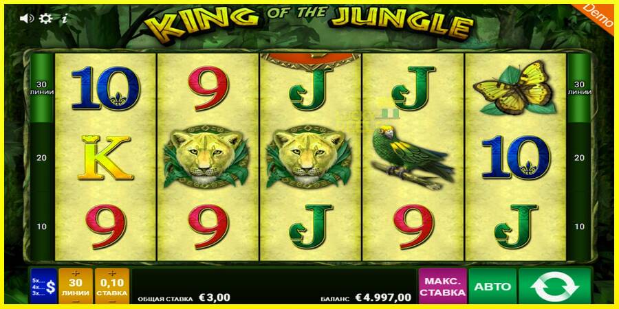 King of the Jungle מכונת משחק לכסף, תְמוּנָה 1