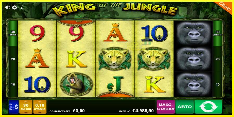 King of the Jungle מכונת משחק לכסף, תְמוּנָה 3