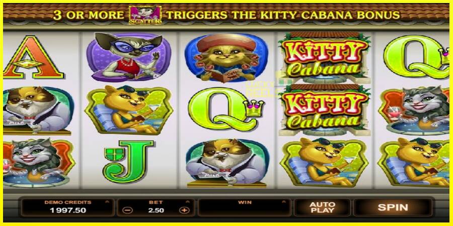 Kitty Cabana מכונת משחק לכסף, תְמוּנָה 3