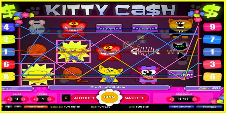 Kitty Cash מכונת משחק לכסף, תְמוּנָה 4