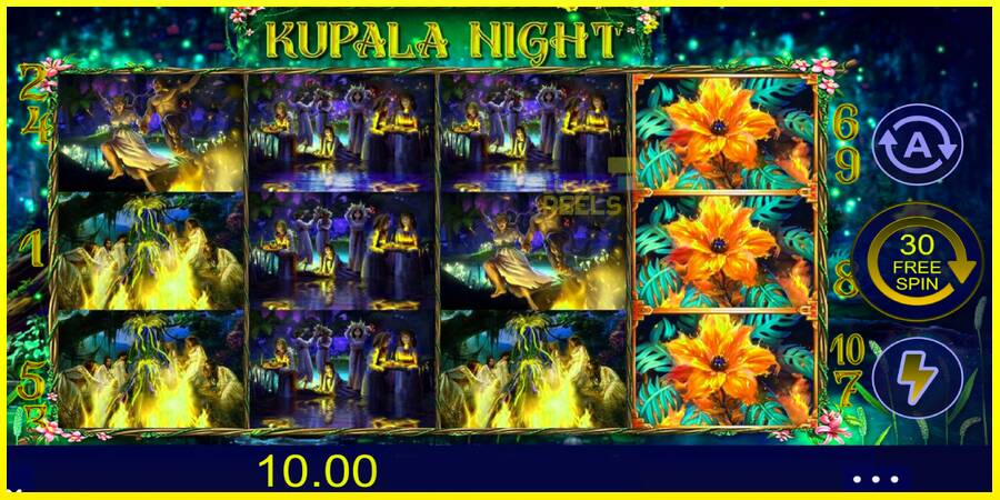 Kupala Night מכונת משחק לכסף, תְמוּנָה 3