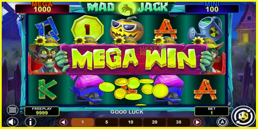 Mad Jack Hold & Win מכונת משחק לכסף, תְמוּנָה 2