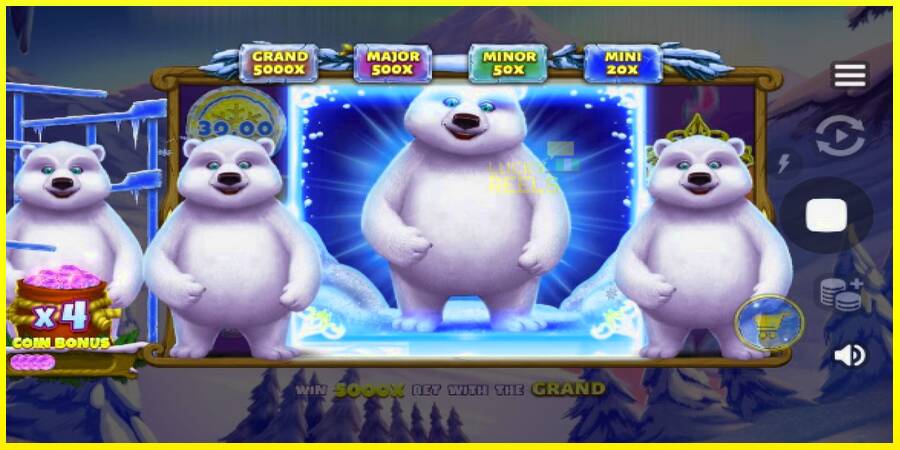 Polar Bonanza מכונת משחק לכסף, תְמוּנָה 5