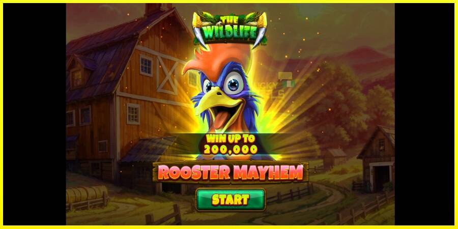 Rooster Mayhem מכונת משחק לכסף, תְמוּנָה 1