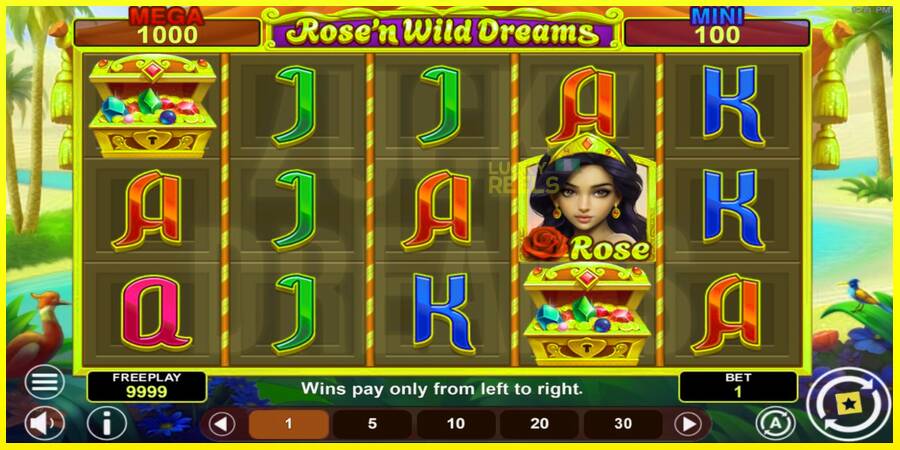 Rose’n Wild Dreams Hold & Win מכונת משחק לכסף, תְמוּנָה 2