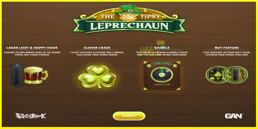 The Tipsy Leprechaun מכונת משחק לכסף, תְמוּנָה 1