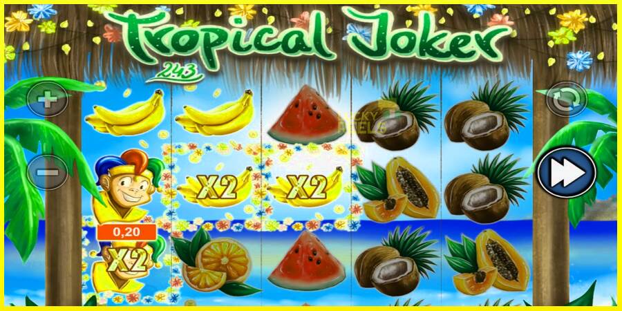 Tropical Joker מכונת משחק לכסף, תְמוּנָה 4