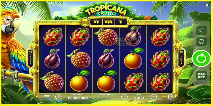 Tropicana Fruits מכונת משחק לכסף, תְמוּנָה 2