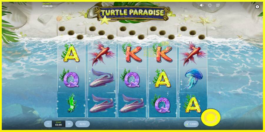 Turtle Paradise מכונת משחק לכסף, תְמוּנָה 2