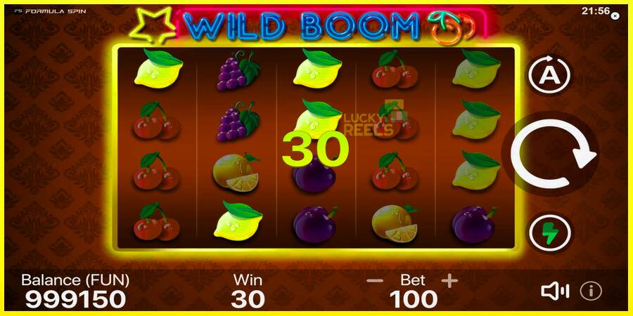 Wild Boom מכונת משחק לכסף, תְמוּנָה 4