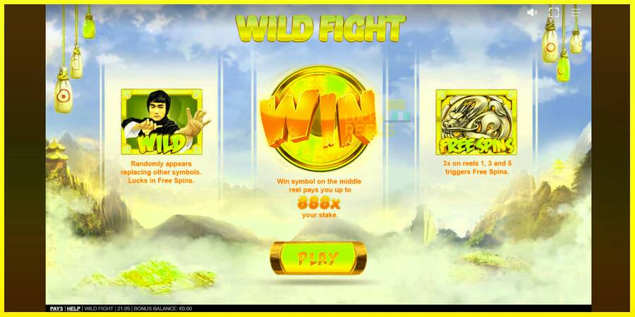 Wild Fight מכונת משחק לכסף, תְמוּנָה 1