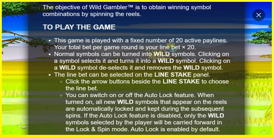 Wild Gambler מכונת משחק לכסף, תְמוּנָה 7