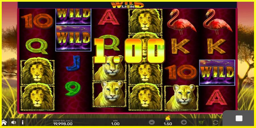 Wild Lion with Reel Bingo מכונת משחק לכסף, תְמוּנָה 2