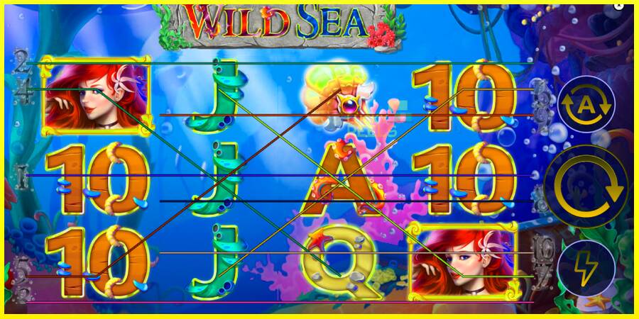 Wild Sea מכונת משחק לכסף, תְמוּנָה 1