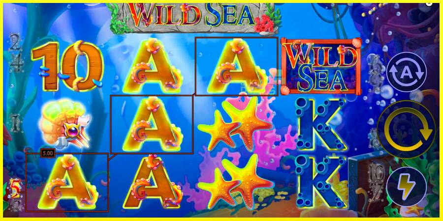 Wild Sea מכונת משחק לכסף, תְמוּנָה 2