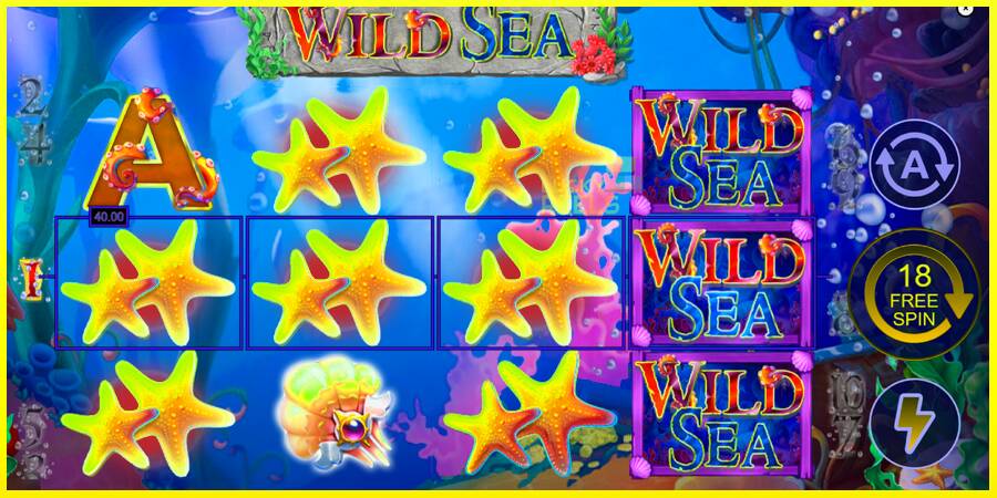 Wild Sea מכונת משחק לכסף, תְמוּנָה 4