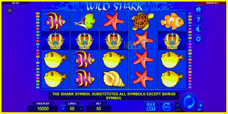 Wild Shark מכונת משחק לכסף, תְמוּנָה 4