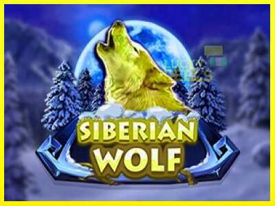 Siberian Wolf מכונת משחק לכסף