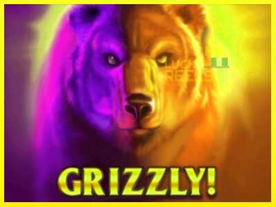 Grizzly מכונת משחק לכסף